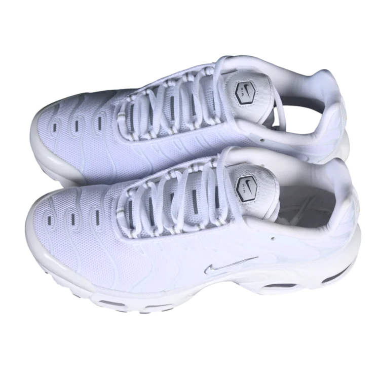 Nike air max plus anatomic shoes